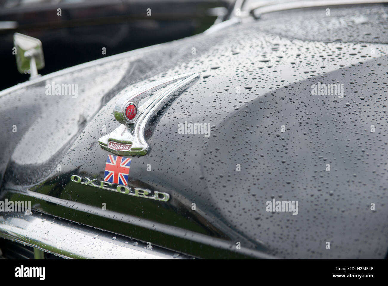 Morris Oxford bonnet in the rain Stock Photo - Alamy