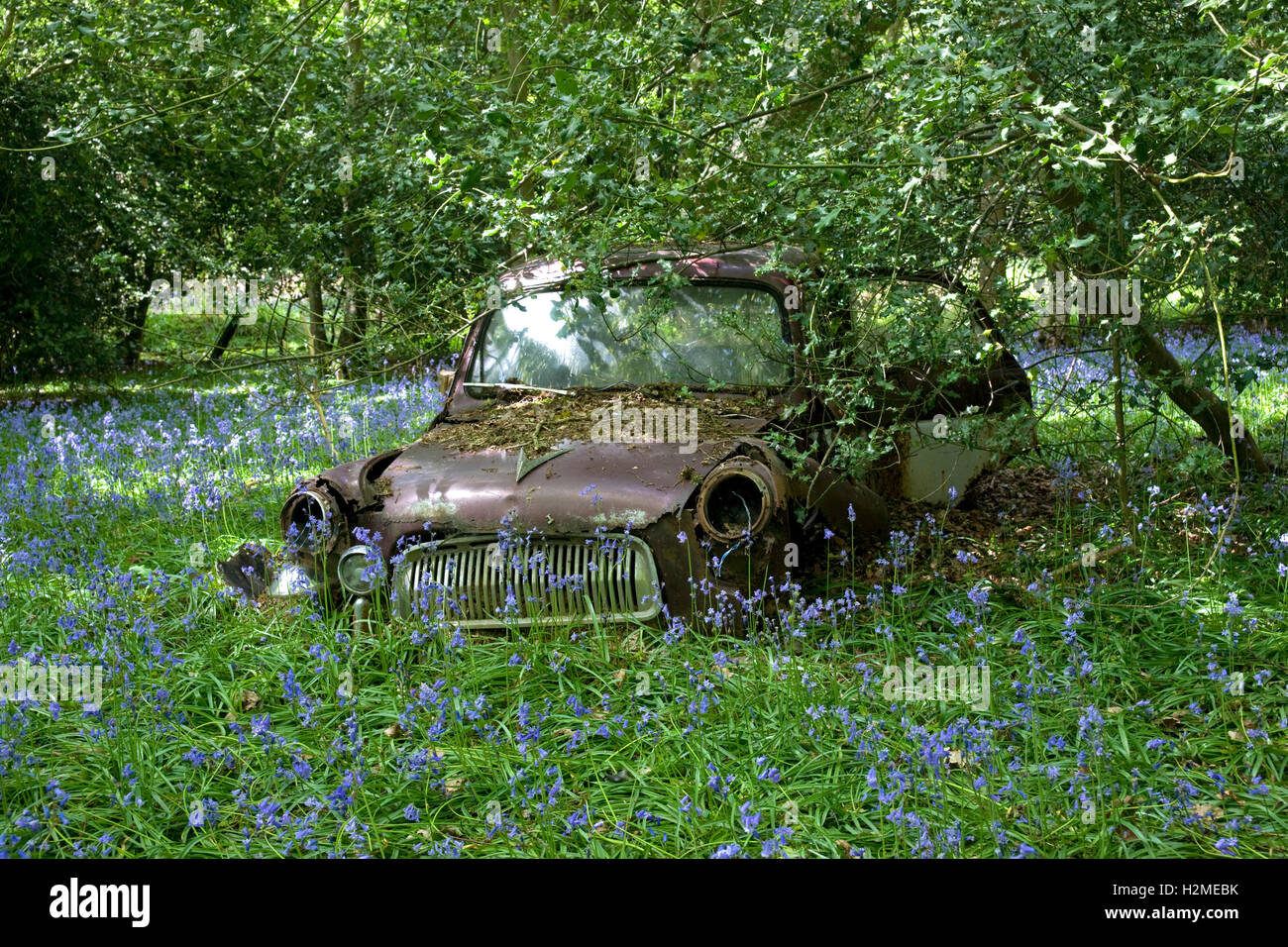Abandoned in the woods hi-res stock photography and images - Alamy