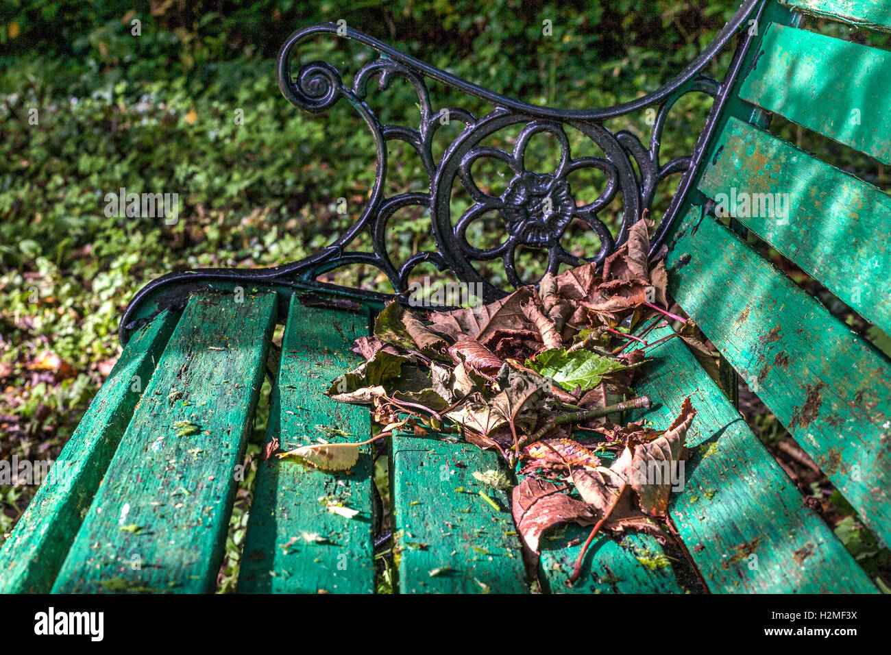 Autumn leaves on a green garden bench, Ireland Stock Photo Alamy