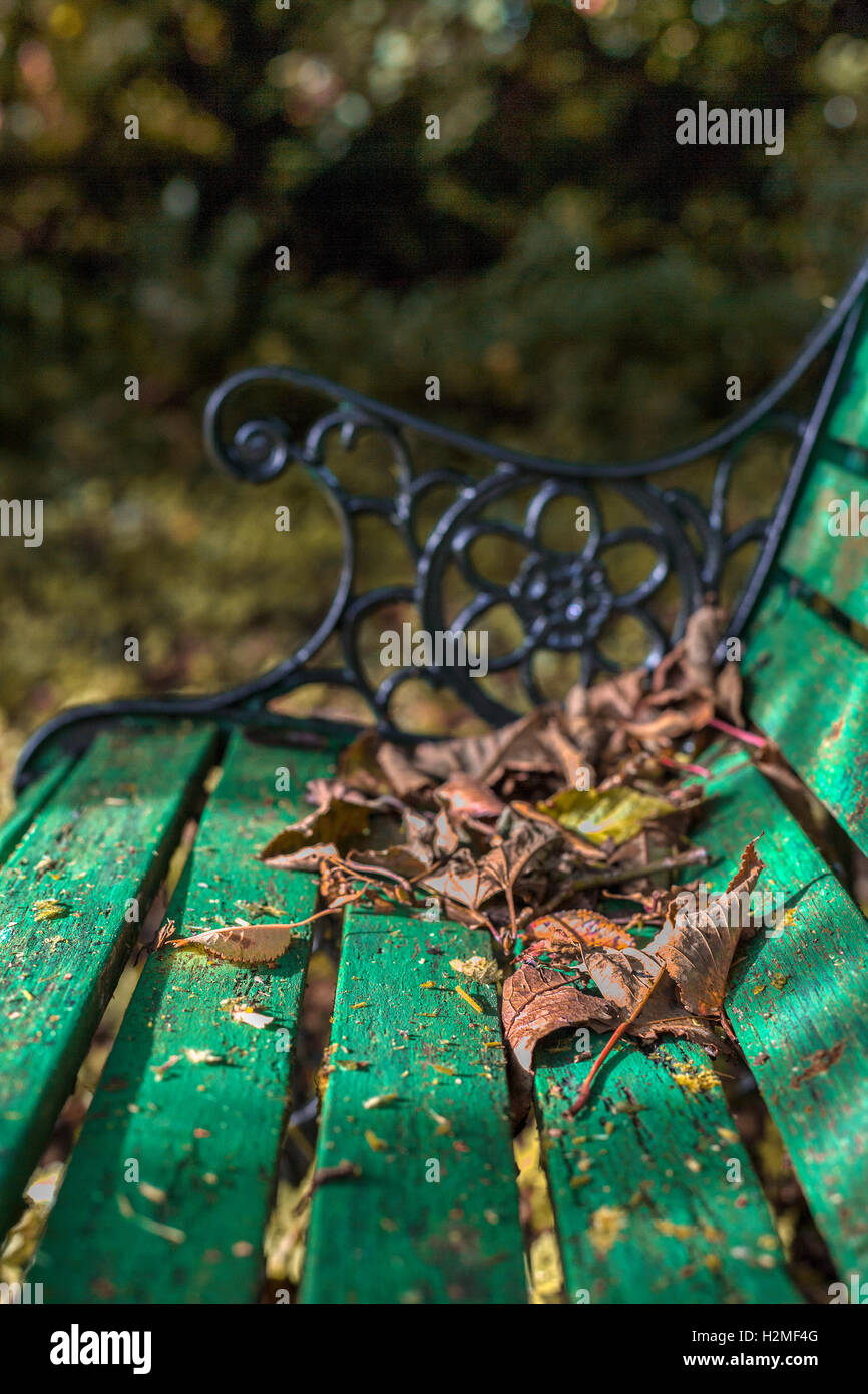 Autumn leaves on a green garden bench, Ireland Stock Photo Alamy