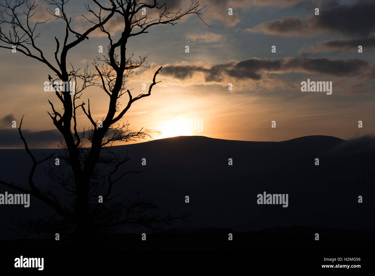 Sun set with Contrejour tree and Blencathra Stock Photo