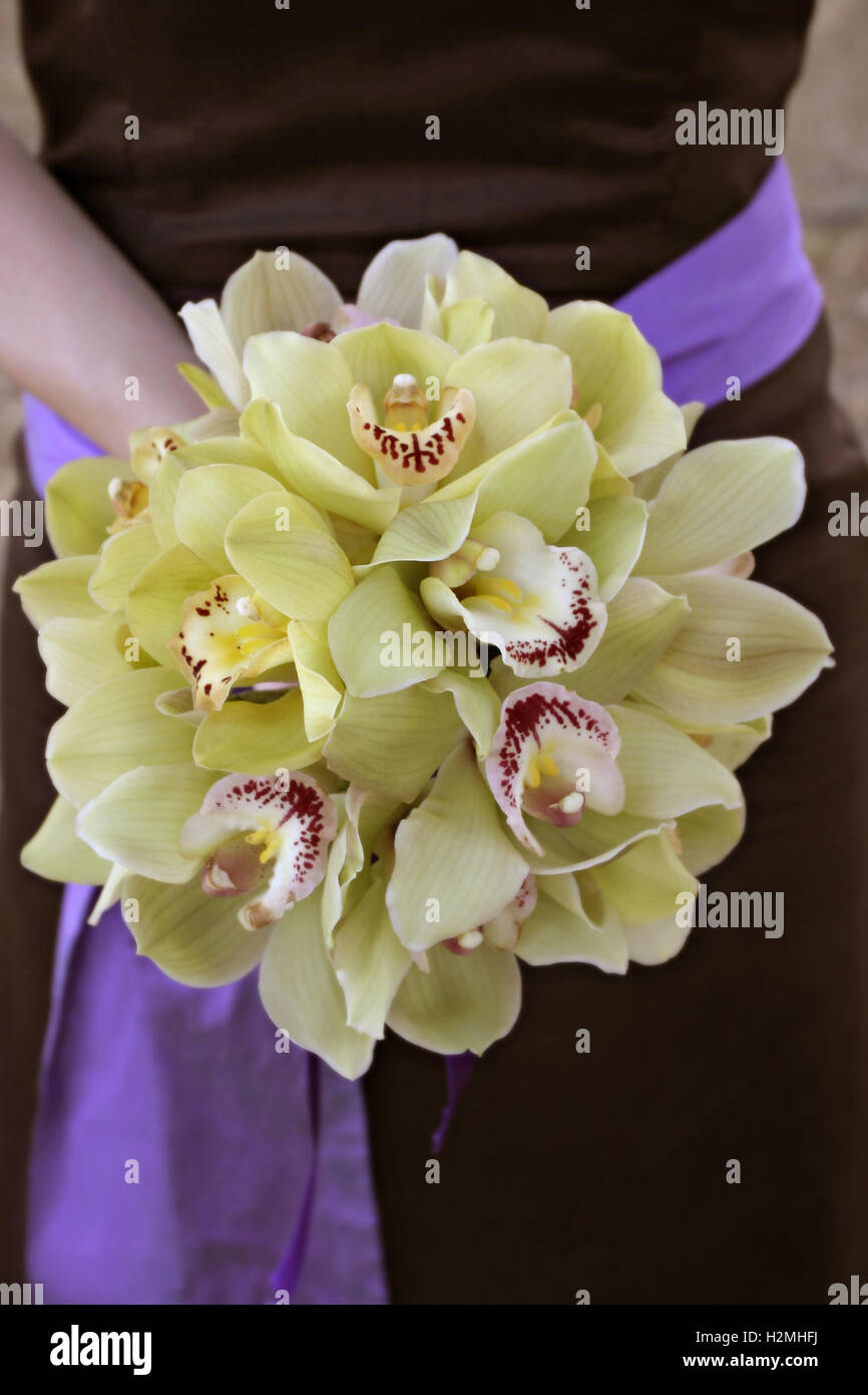 Yellow bridesmaid dress hi-res stock photography and images - Alamy Yellow bridesmaid dress hi-res stock photography and images - Alamy