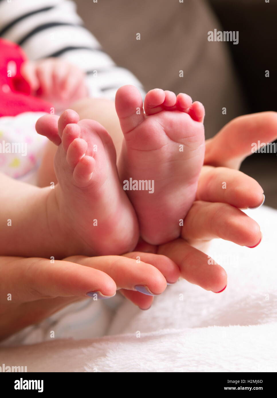 small baby legs in mother hands Stock Photo Alamy