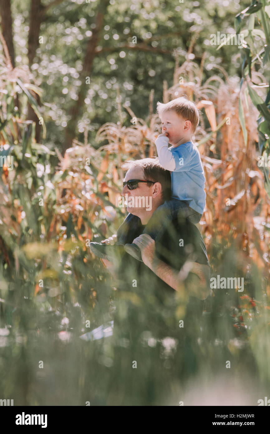 father carry son shoulder outdoor nature Stock Photo