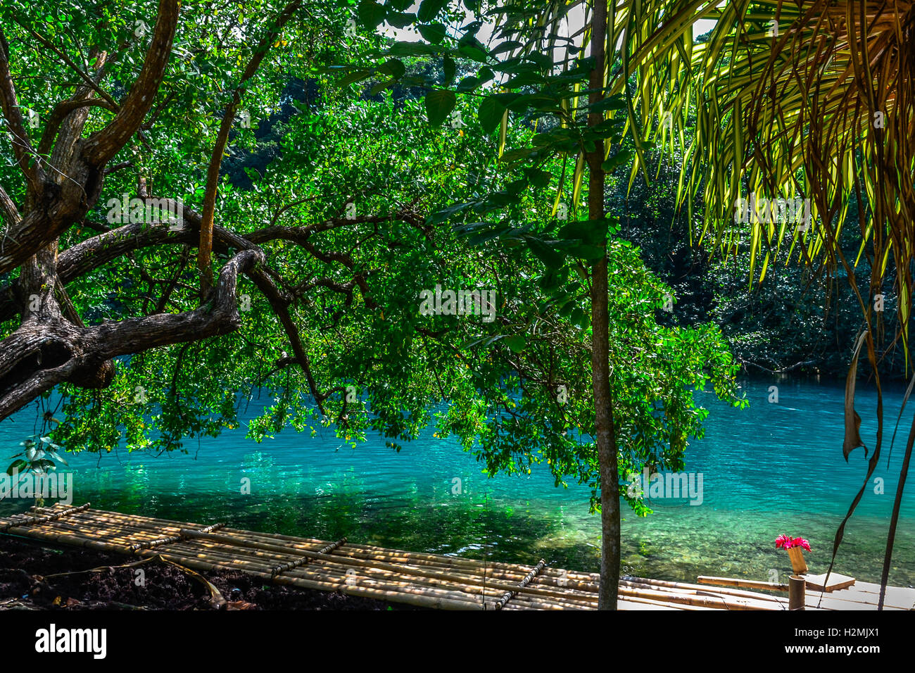 blue lagoon, jamaica, port antonio, caribean Stock Photo