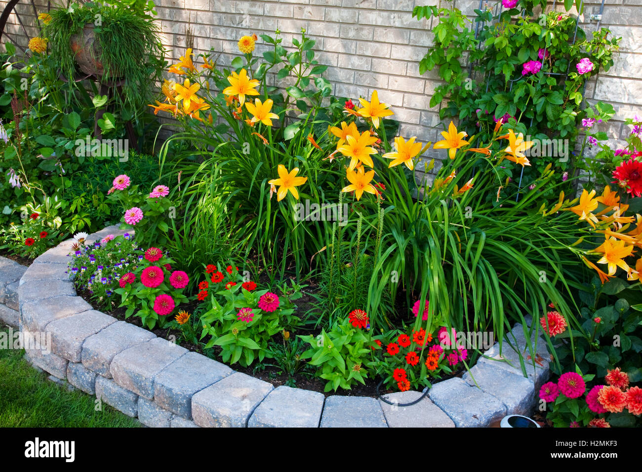 Colorful Flower Bed Stock Photo Alamy