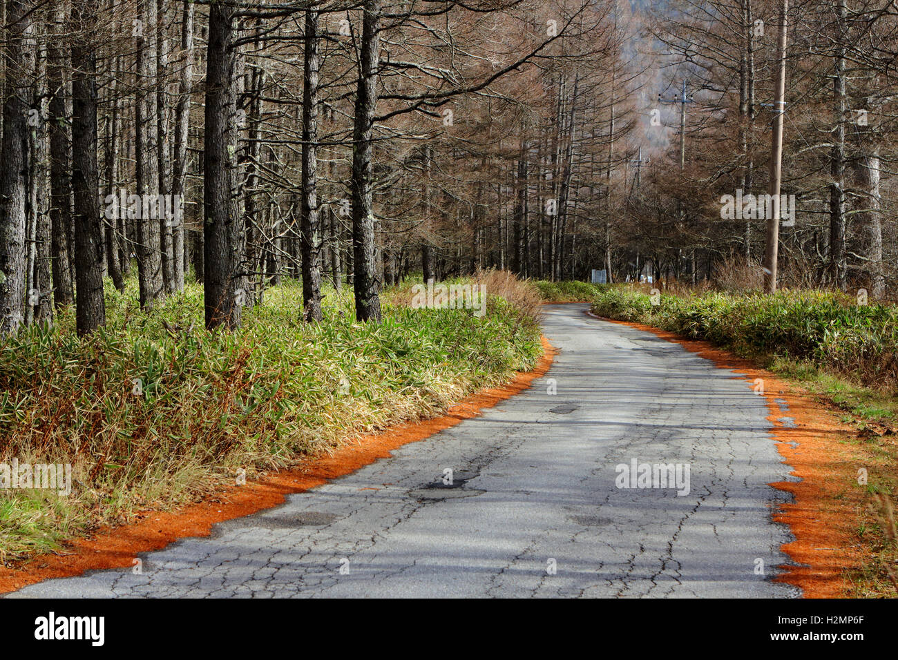 Pathway sun light hi-res stock photography and images - Alamy