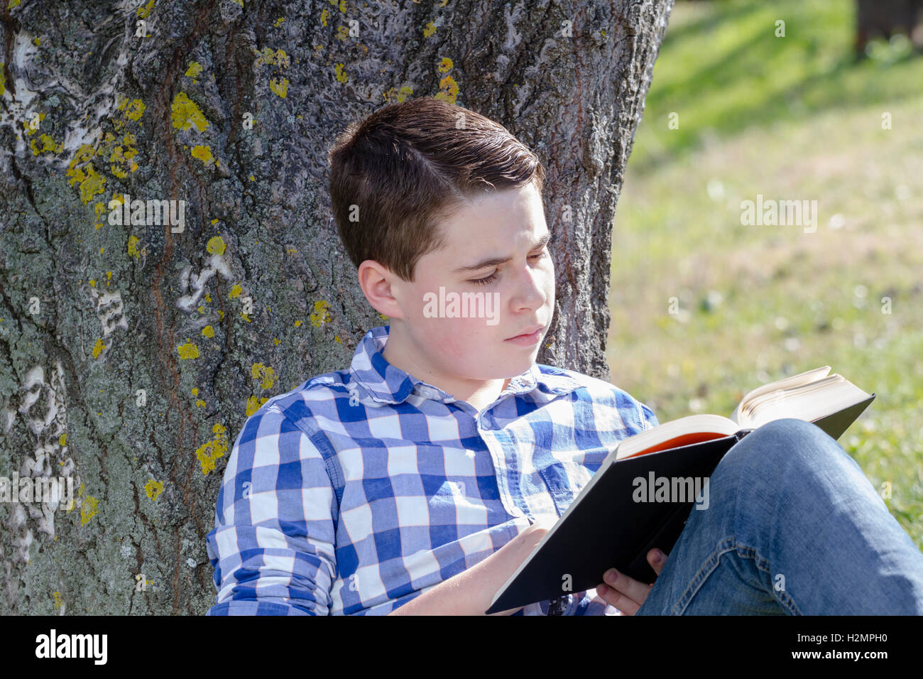 Shallow Reading Young boy reading a book in the woods with shallow depth of fiel Stock ...