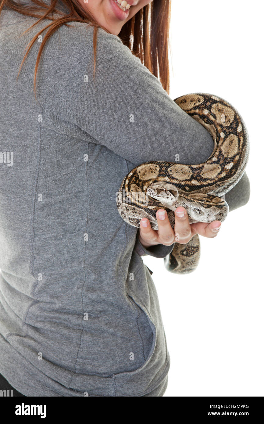Pet Boa Snake Stock Photo - Alamy
