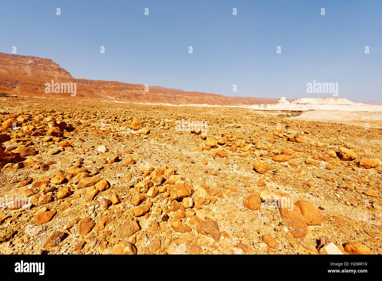 Palestine or the holy land hi-res stock photography and images - Alamy