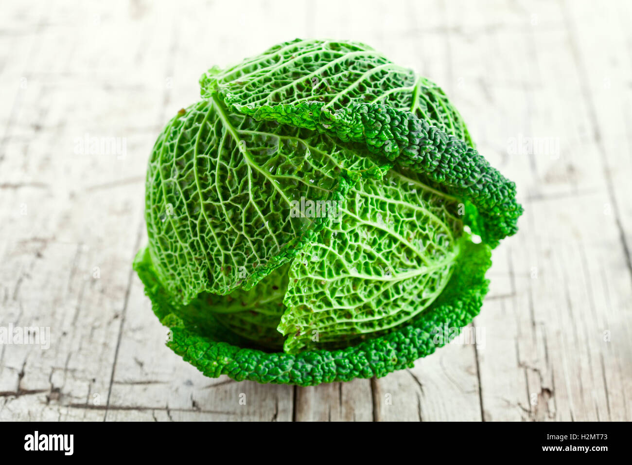 Whole head savoy cabbage hi-res stock photography and images - Alamy