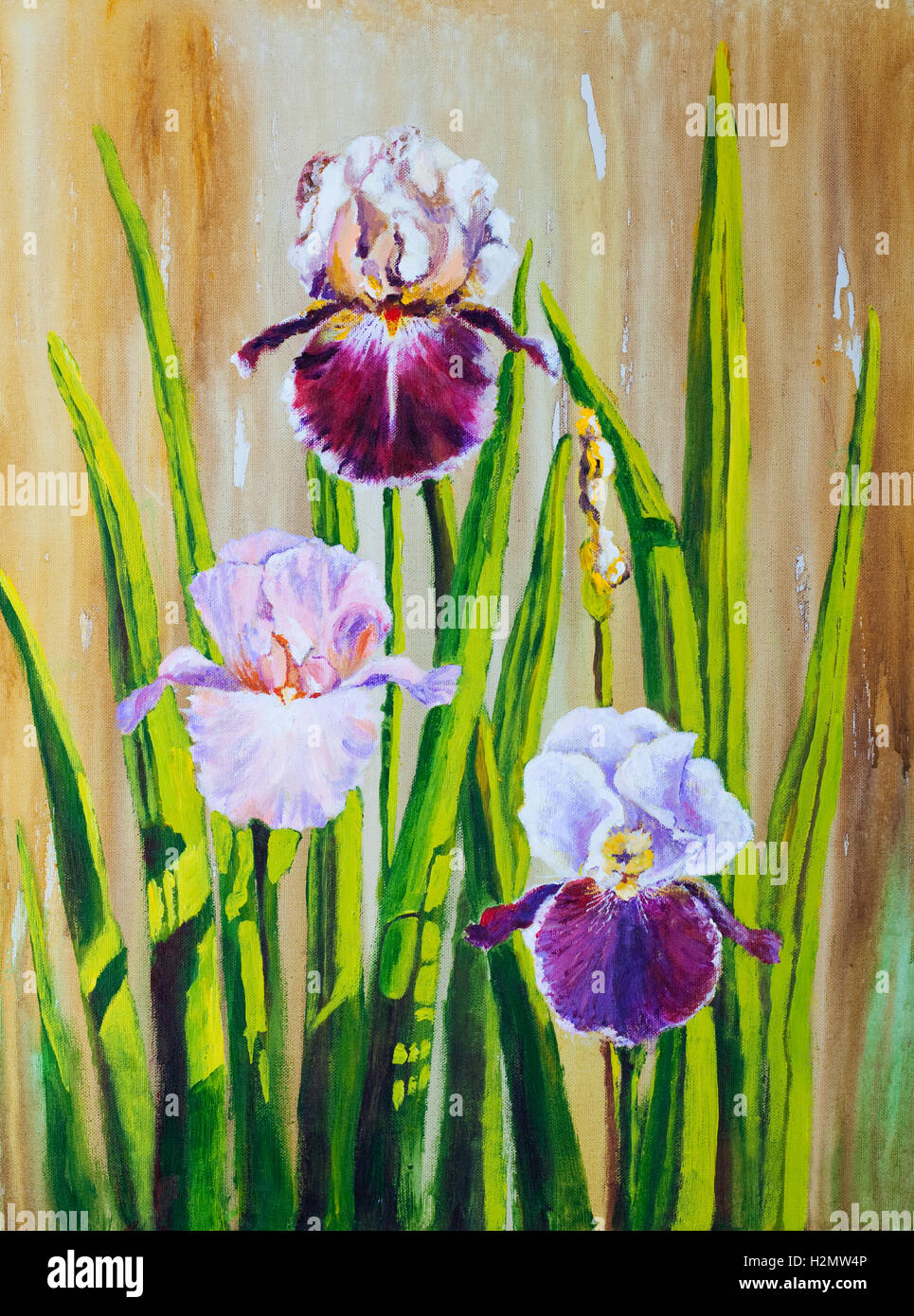 Iris Painting Hi Res Stock Photography And Images Alamy Irises H2MW4P