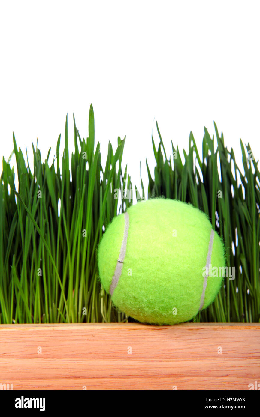 Tennis Ball on Grass background Stock Photo Alamy