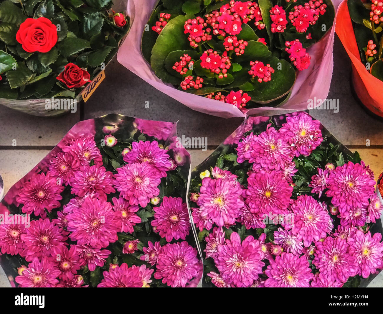Seedlings for sale hires stock photography and images Alamy