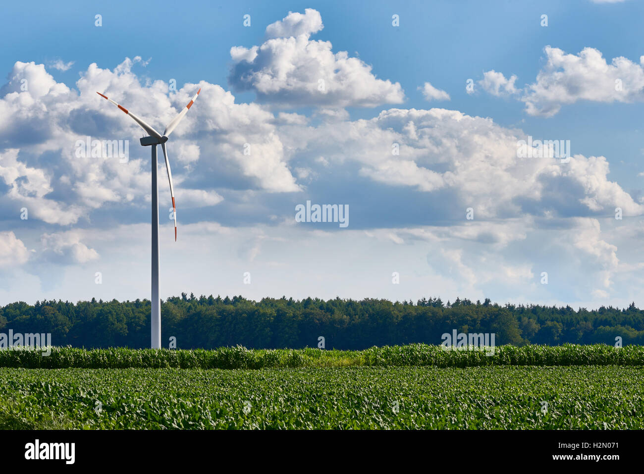 Wind turbine in rural environment with vivid blue sky Stock Photo - Alamy