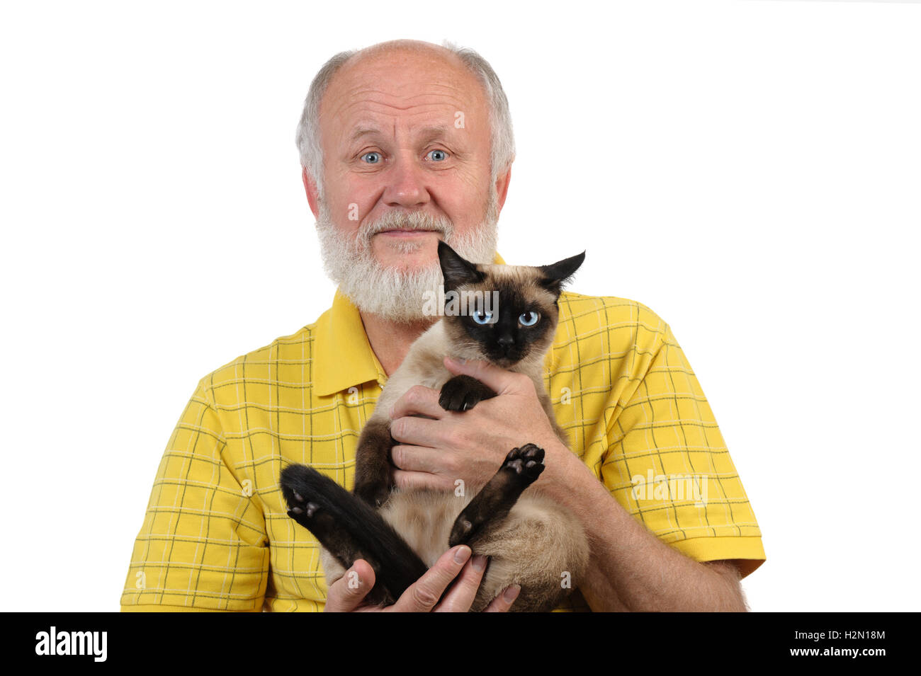 senior balding man with siamese cat Stock Photo