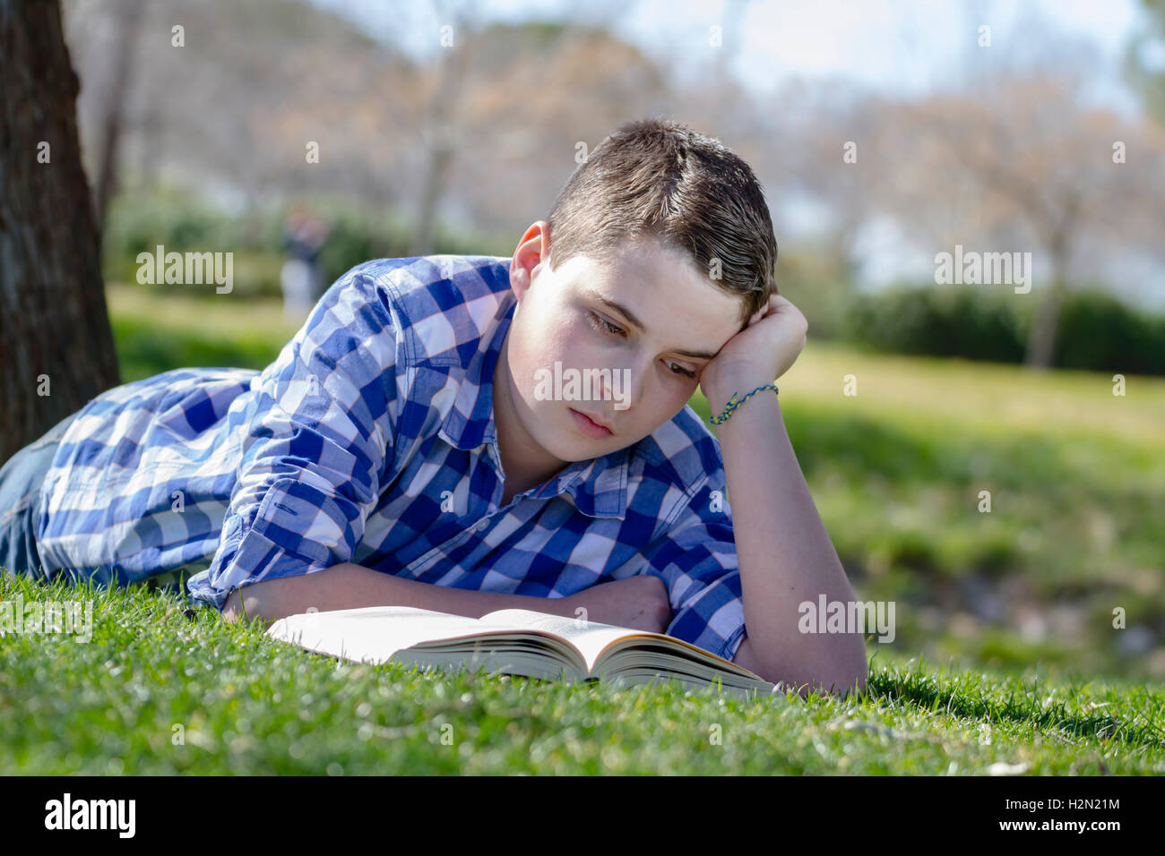 Shallow Reading Young boy reading a book in the woods with shallow depth of fiel Stock ...