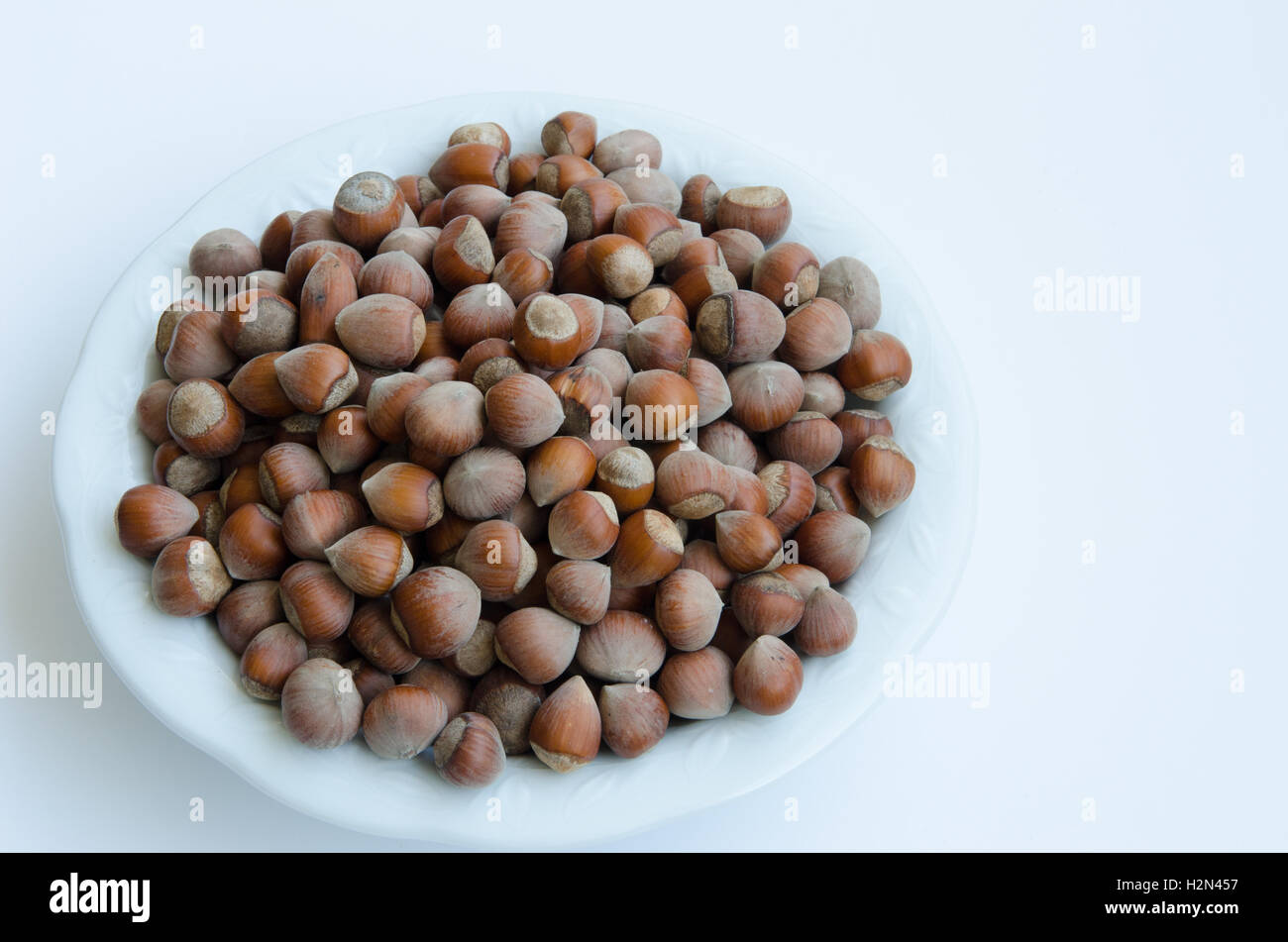 unshelled hazel nuts in white dish isolated against white background Stock Photo