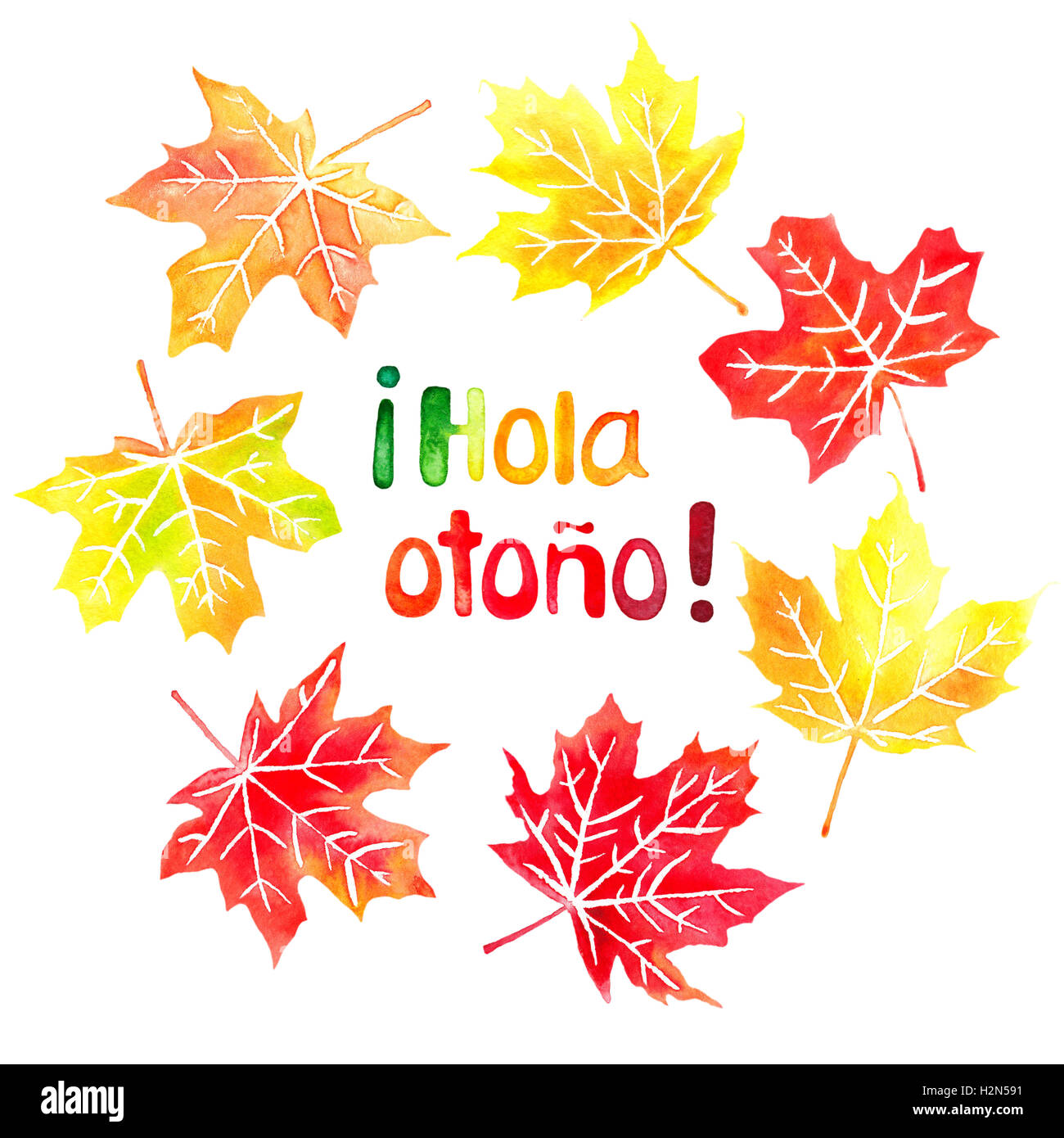 Hola otono meaning 'Hello autumn' in spanish watercolor hand drawn lettering and fall colored maple leaves Stock Photo