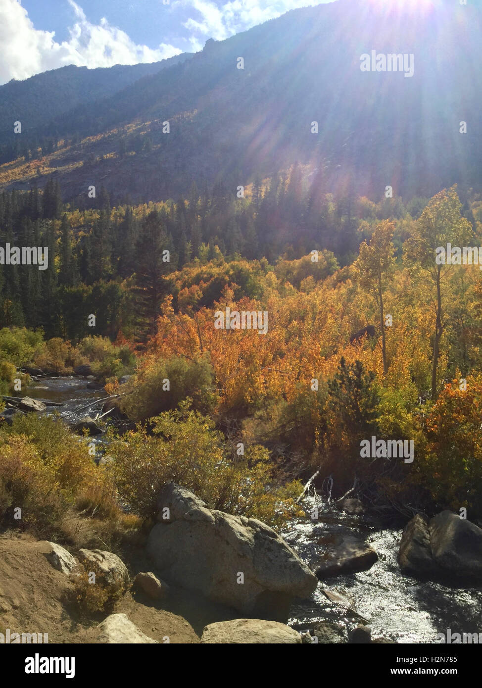 Fall colors along Bishop creek above Bishop, California in the eastern Sierra Nevada Stock Photo