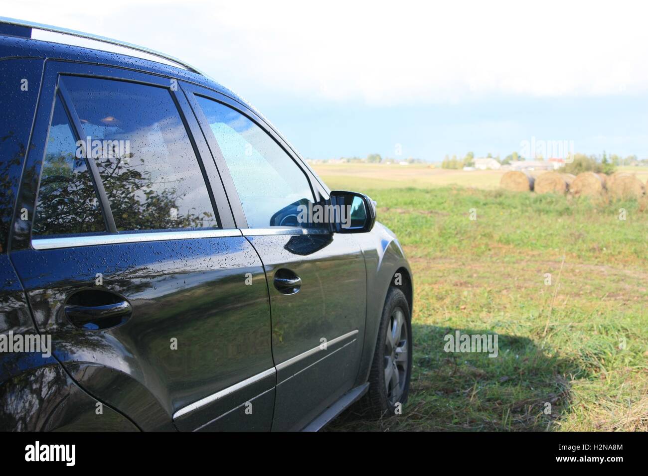Black car in the field in fall Stock Photo