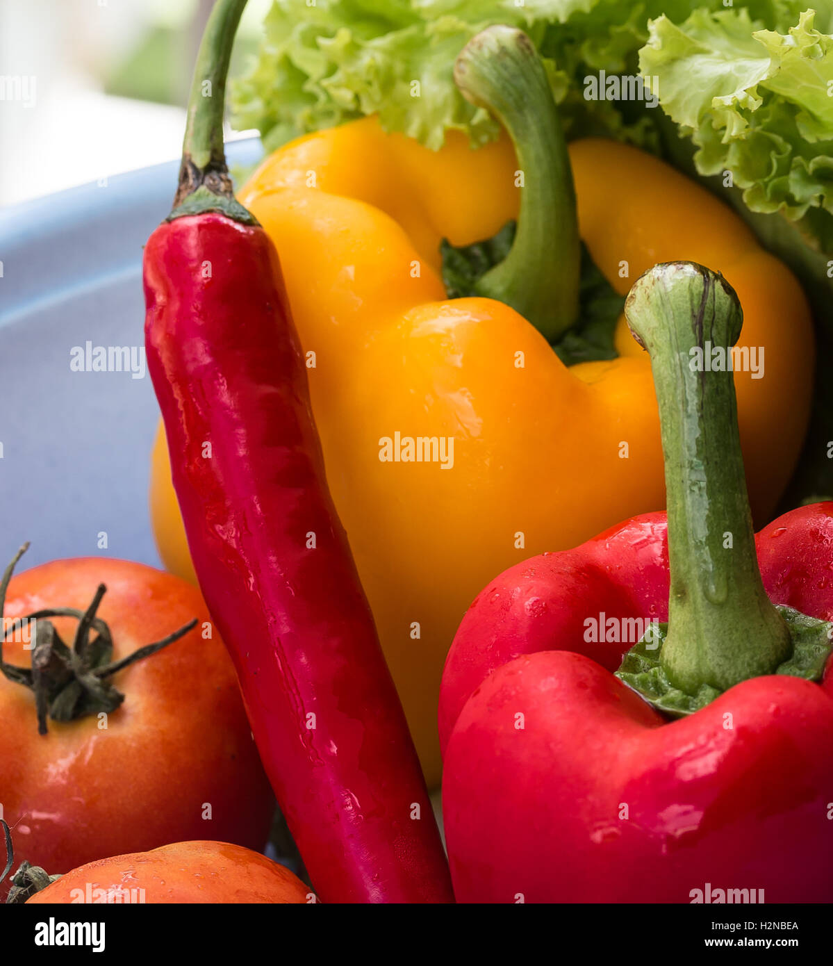 Bell Pepper Vegetables Meaning Red Yellow Peppers And Red Yellow