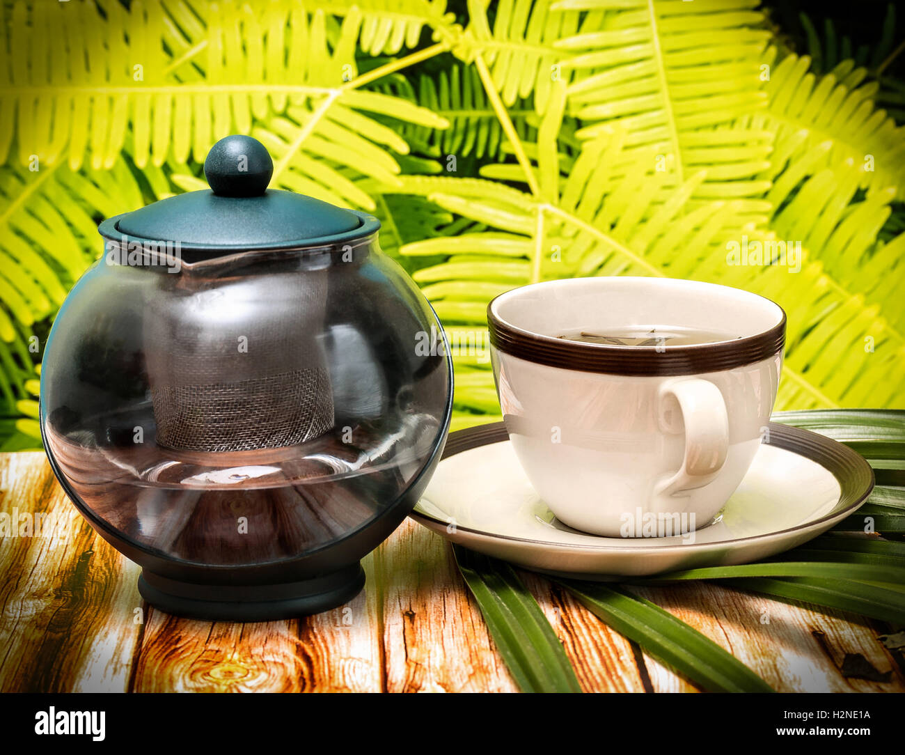 Outdoor Green Tea Meaning Beverages Fresh And Refreshed Stock Photo Alamy