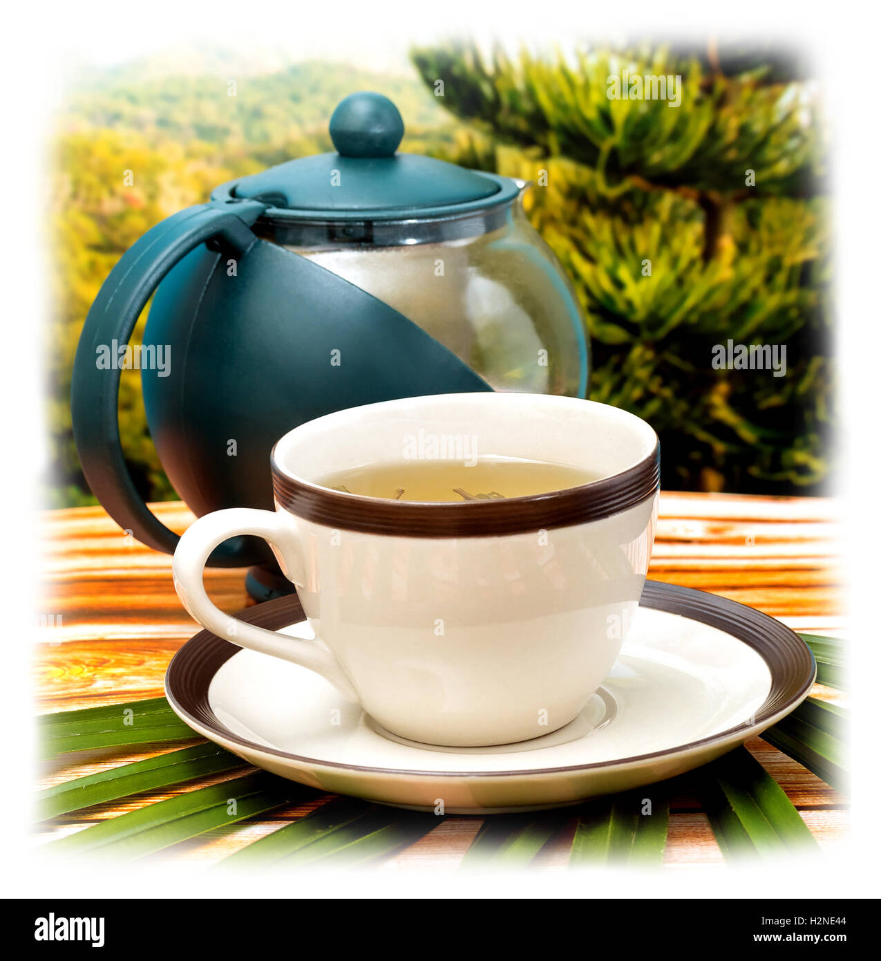 Refreshing Green Tea Meaning Refreshes Beverages And Teas Stock Photo