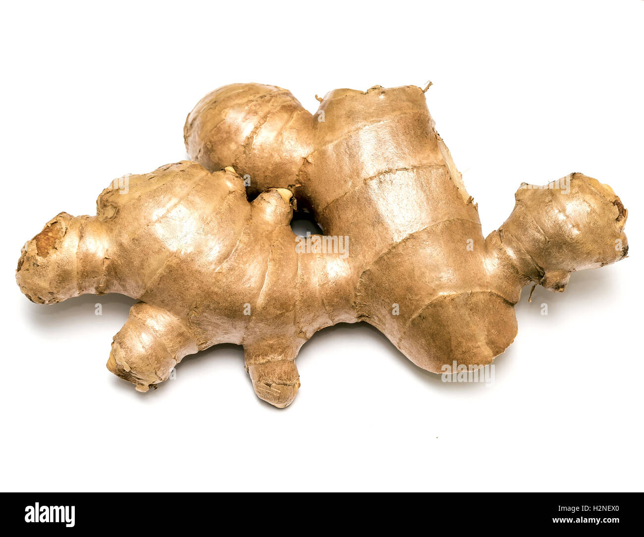 Ginger Root Showing Roots Ingredients And Foods Stock Photo Alamy