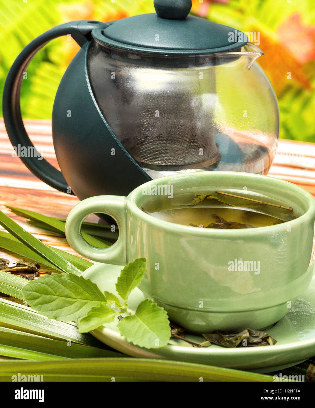 Mint Green Tea Showing Refreshment Beverages And Refresh Stock Photo