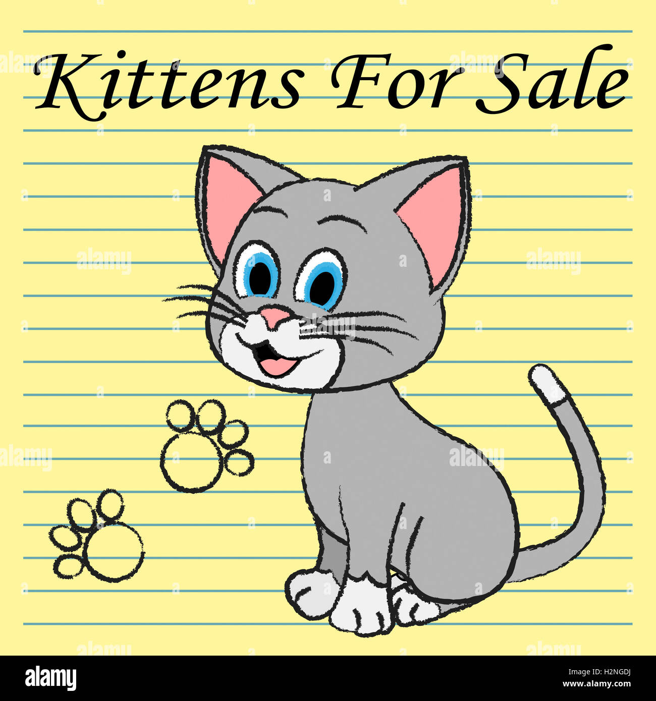 Kittens For Sale Representing Domestic Cat To Buy Stock Photo Alamy