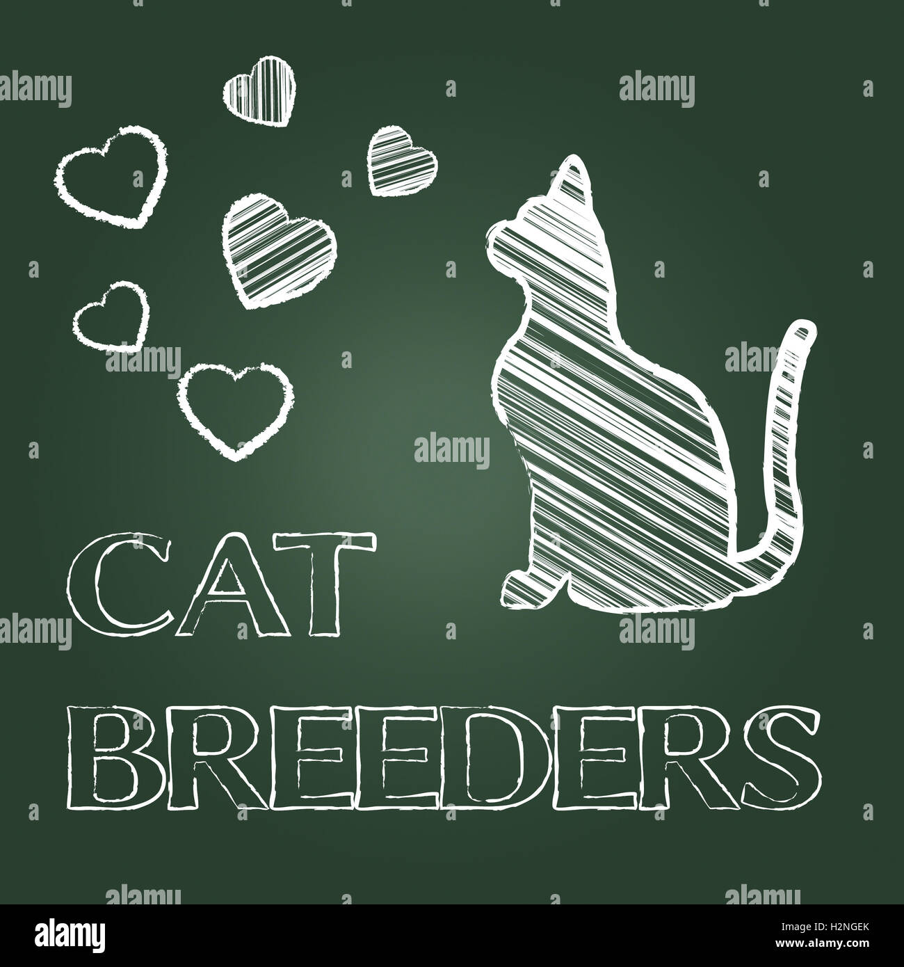 Cat breeds hires stock photography and images Alamy