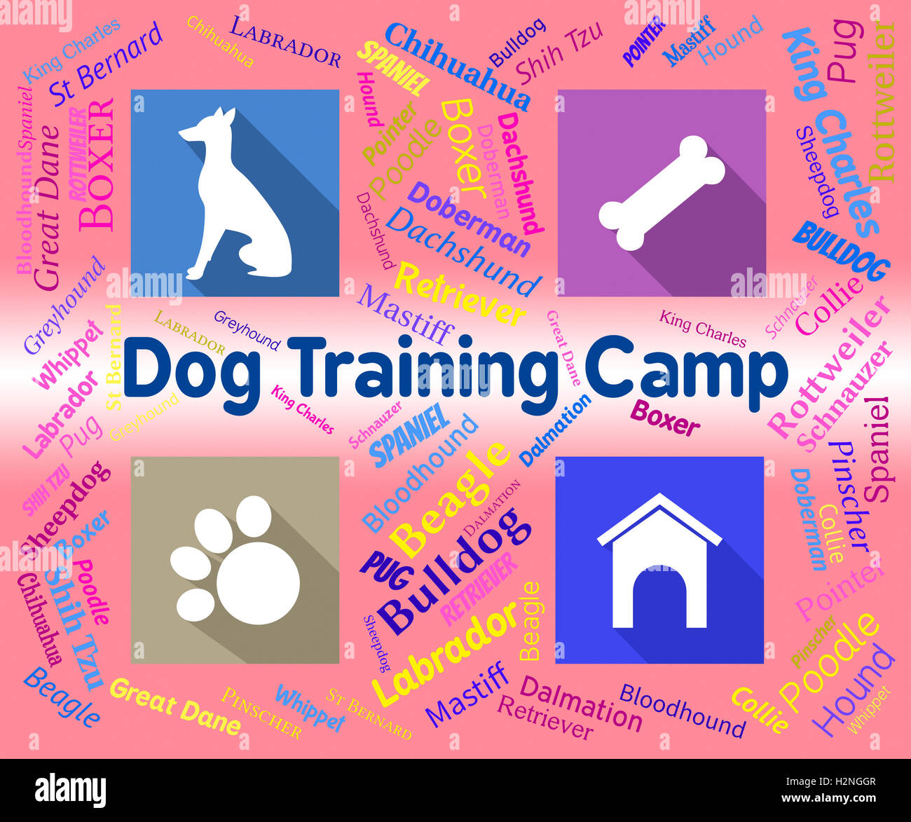 Dog trainer dog trainers hires stock photography and images Alamy