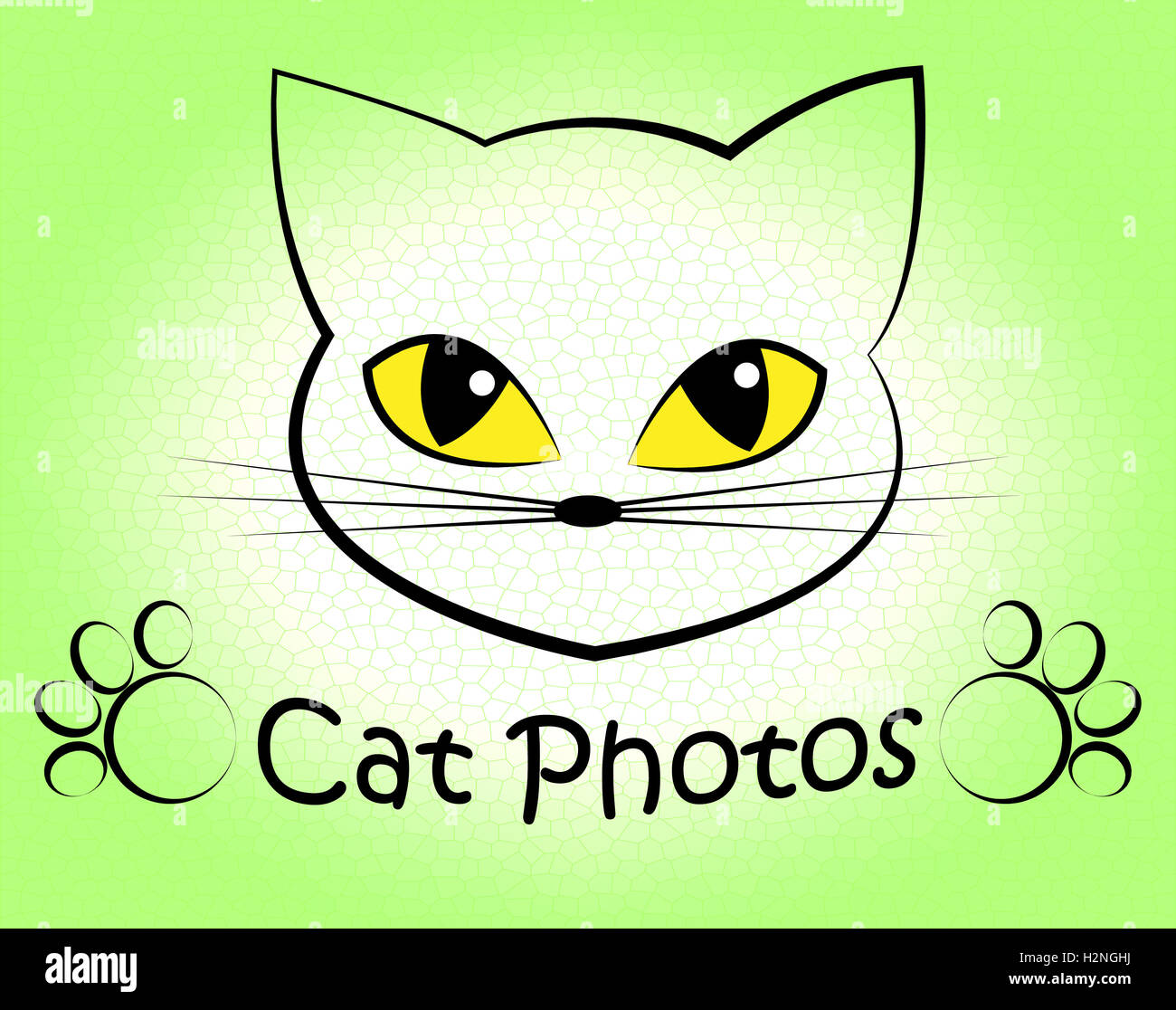 Cat Photos Indicating Feline Snapshot And Pets Stock Photo