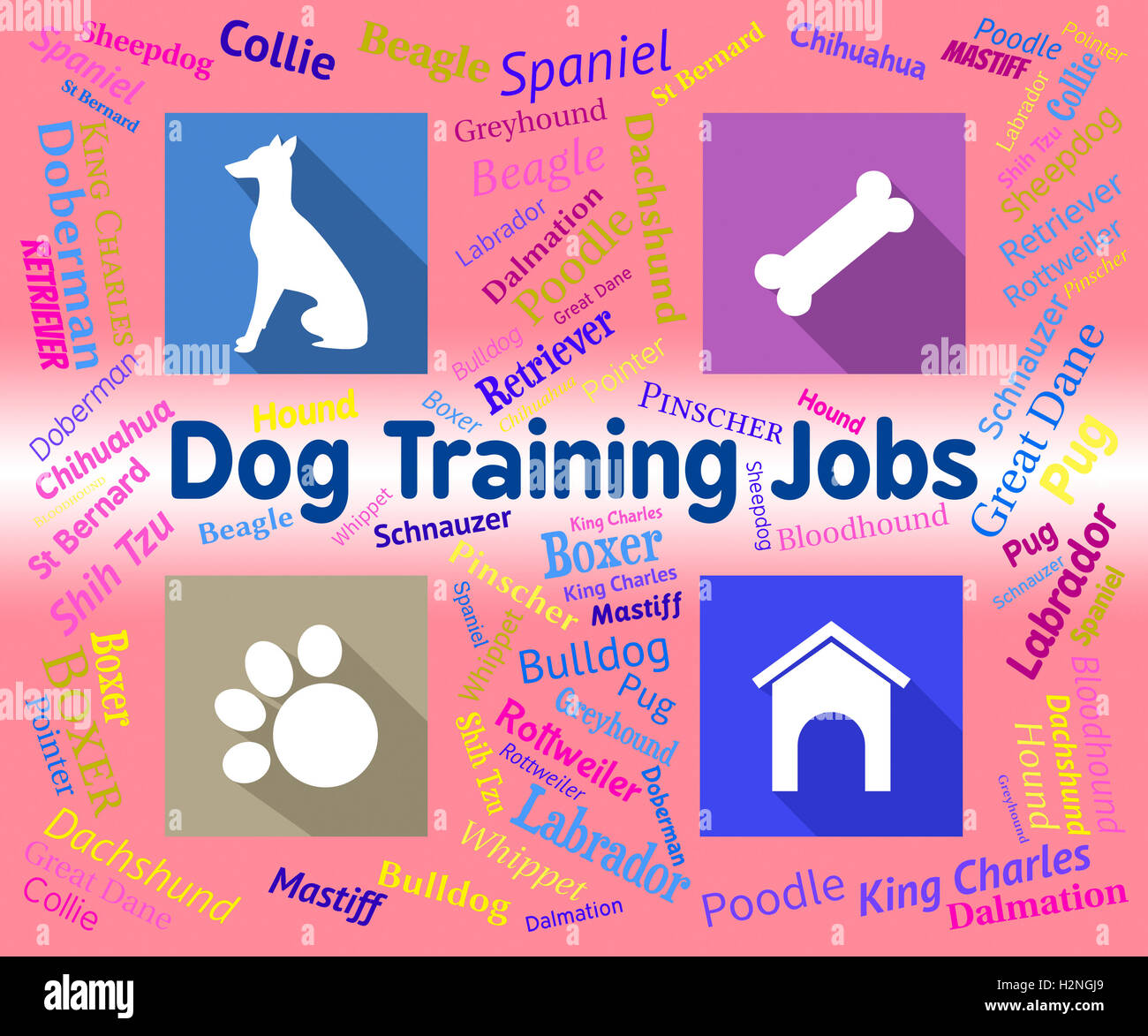 Dog trainer dog trainers hires stock photography and images Alamy