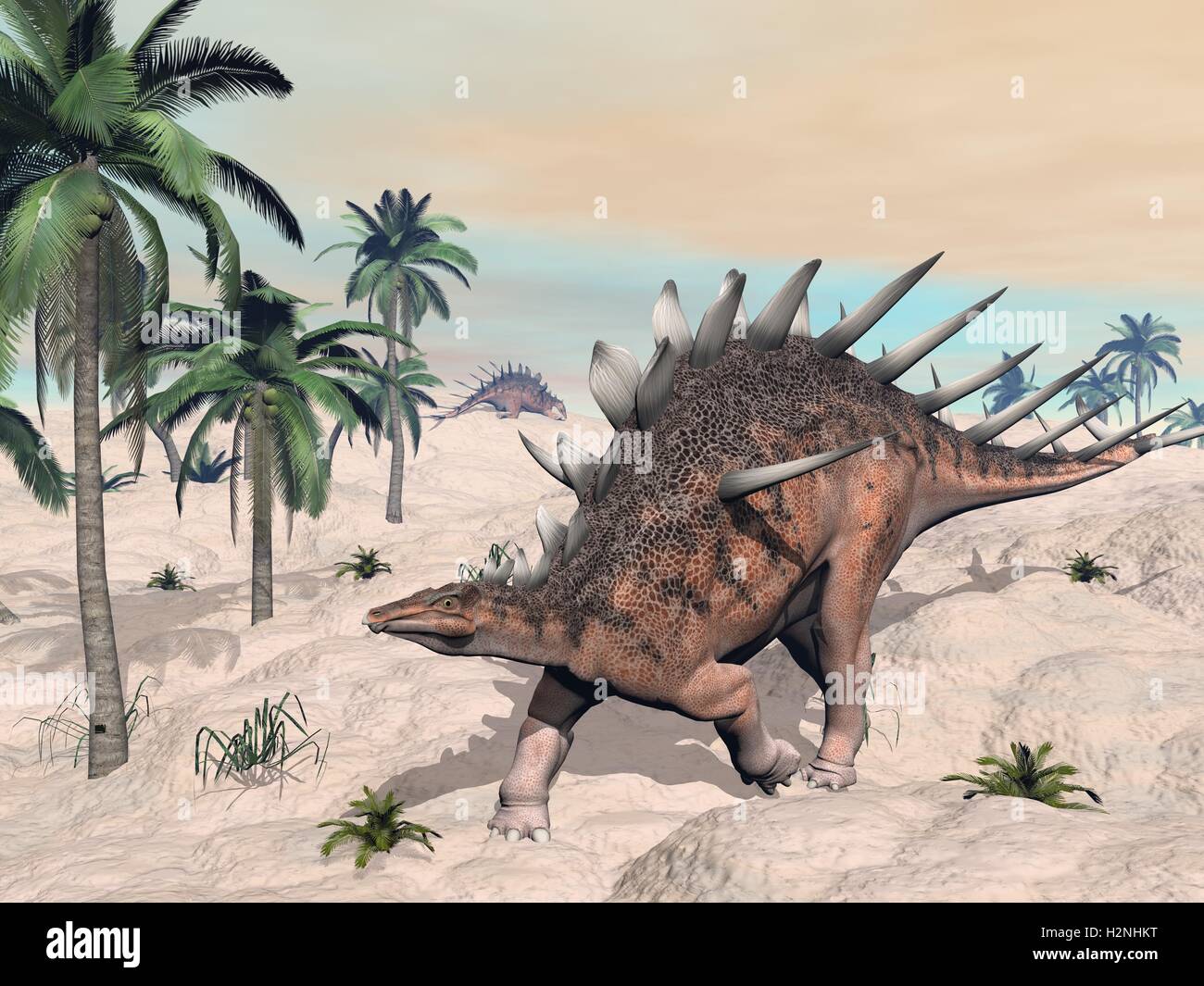 Kentrosaurus dinosaurs in the desert - 3D render Stock Photo