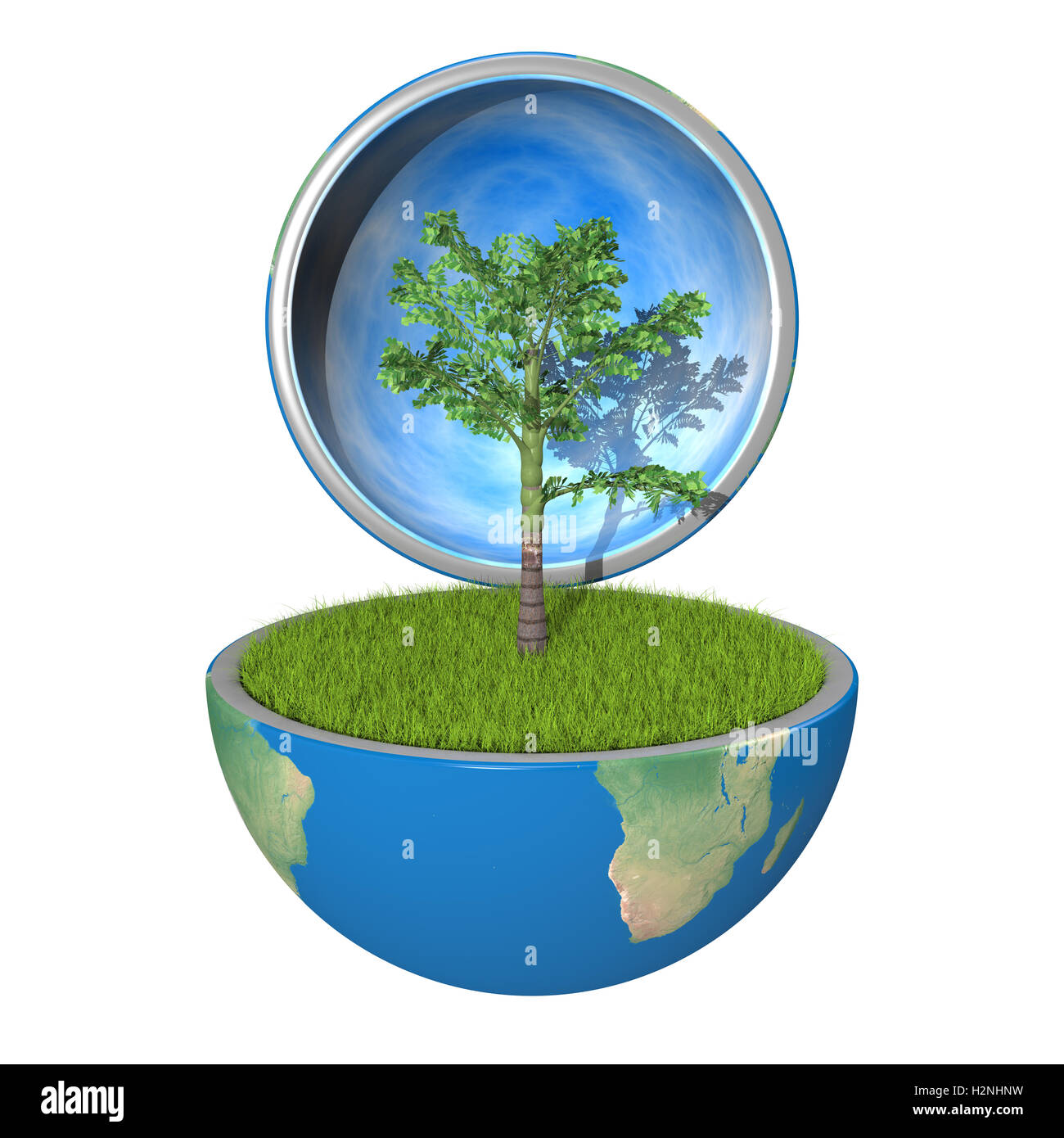 Palm tree inside Stock Photo Alamy