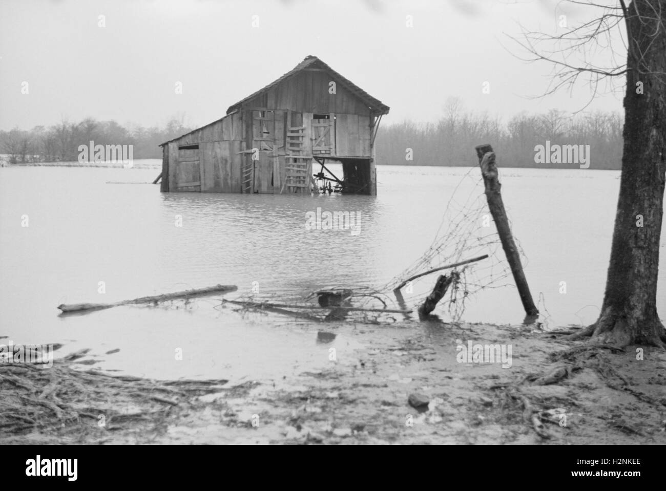 Farm Covered with Floodwaters, near Ridgeley, Tennessee, USA, Walker Evans for Farm Security Administration, February 1937 Stock Photo