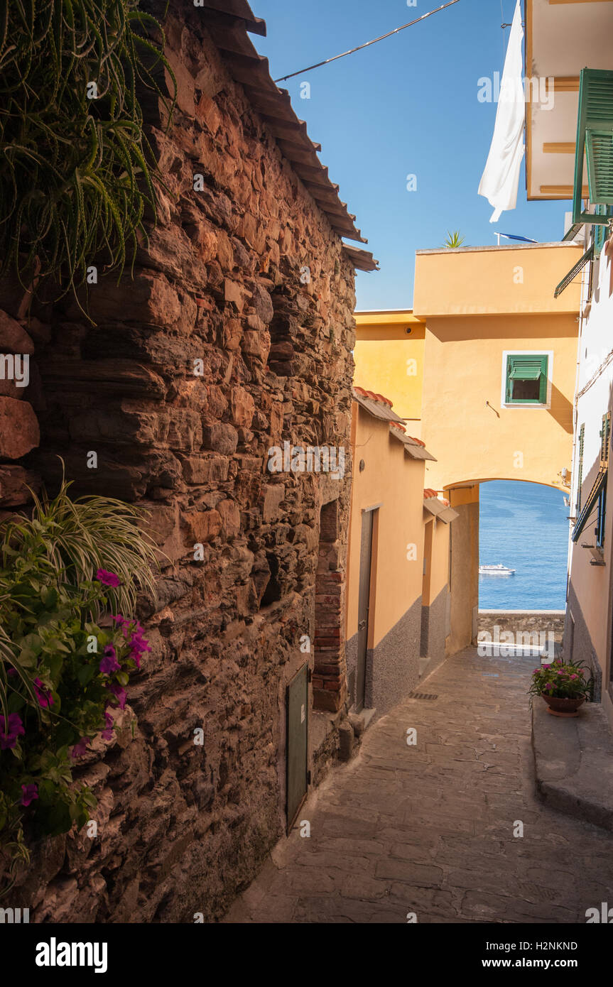 One of Corniglia's main pathways through the old town, Corniglia, Cinque Terre, Italy, September Stock Photo