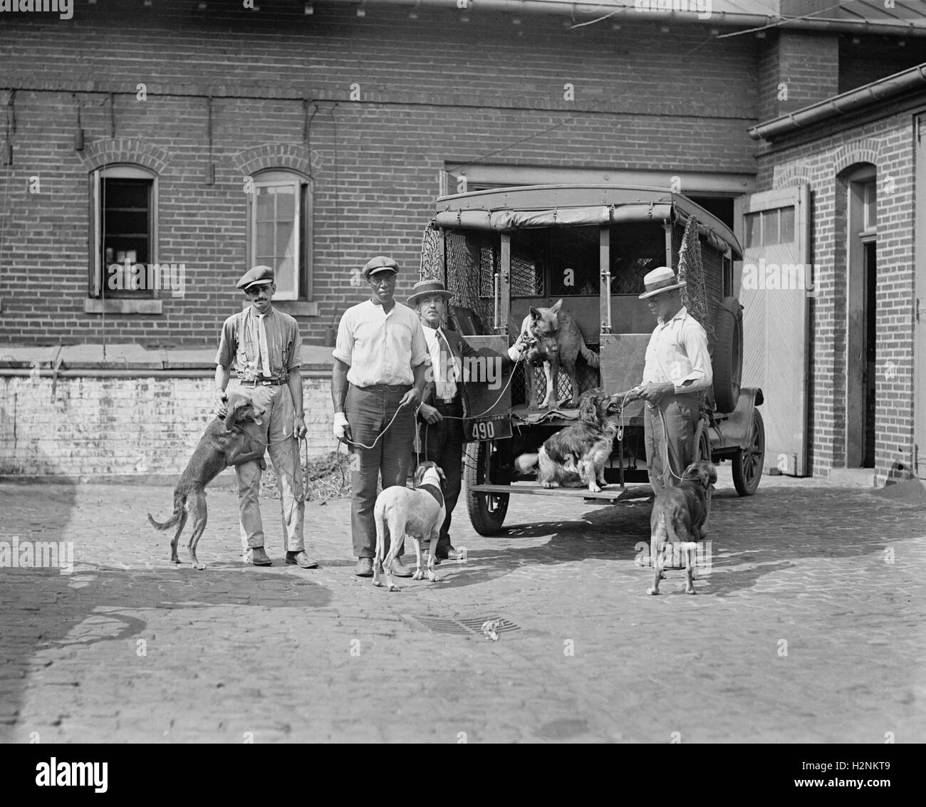 Dog catcher hires stock photography and images Alamy