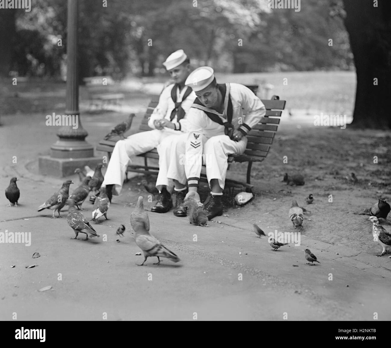 Two Sailors, F.R. Hudzik & H.W. Hornbrook, Feeding Pigeons in Park, Washington DC, USA, National Photo Company, August 1924 Stock Photo