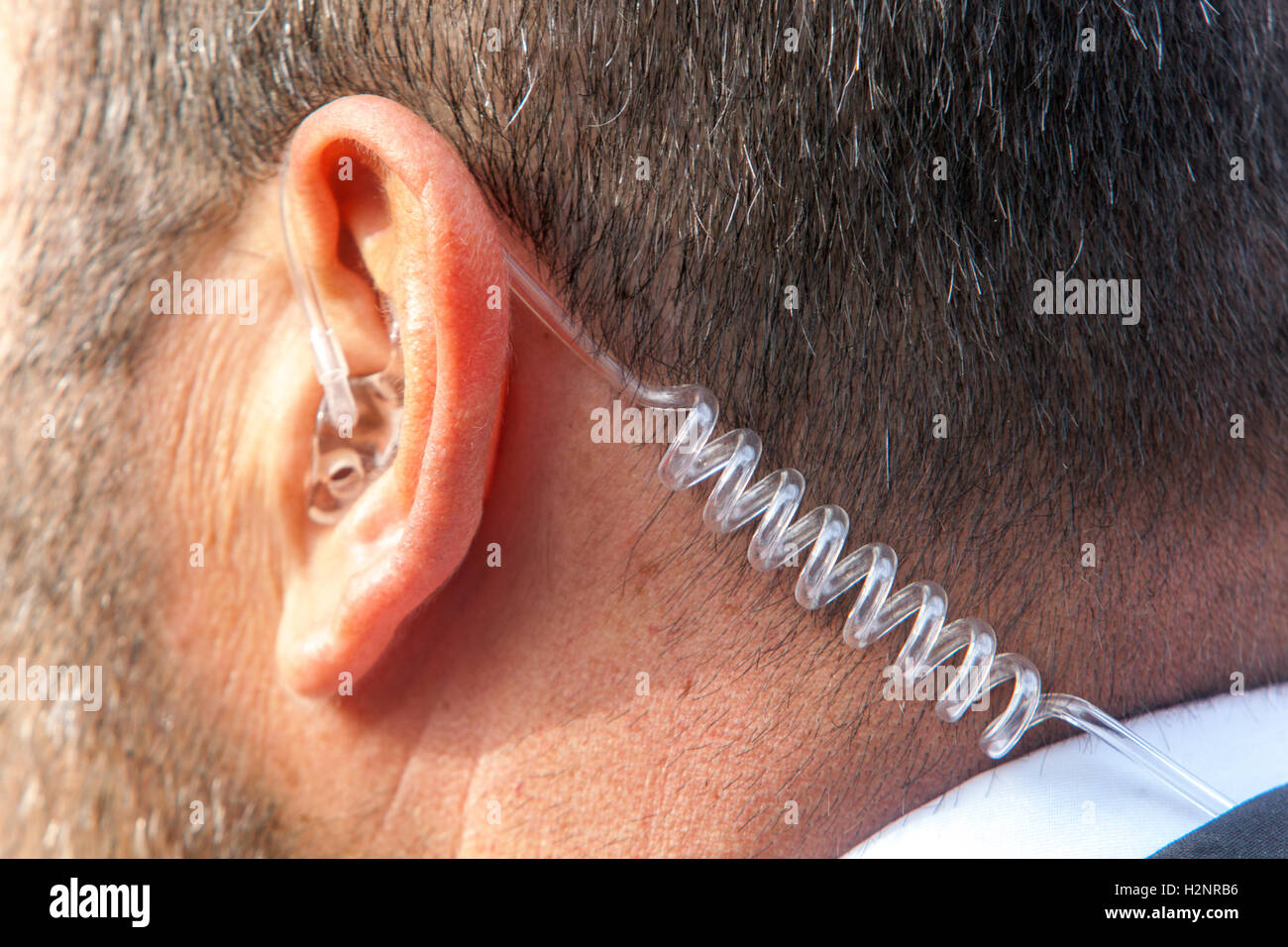 Bodyguard earpiece, detail ear, security agent Stock Photo
