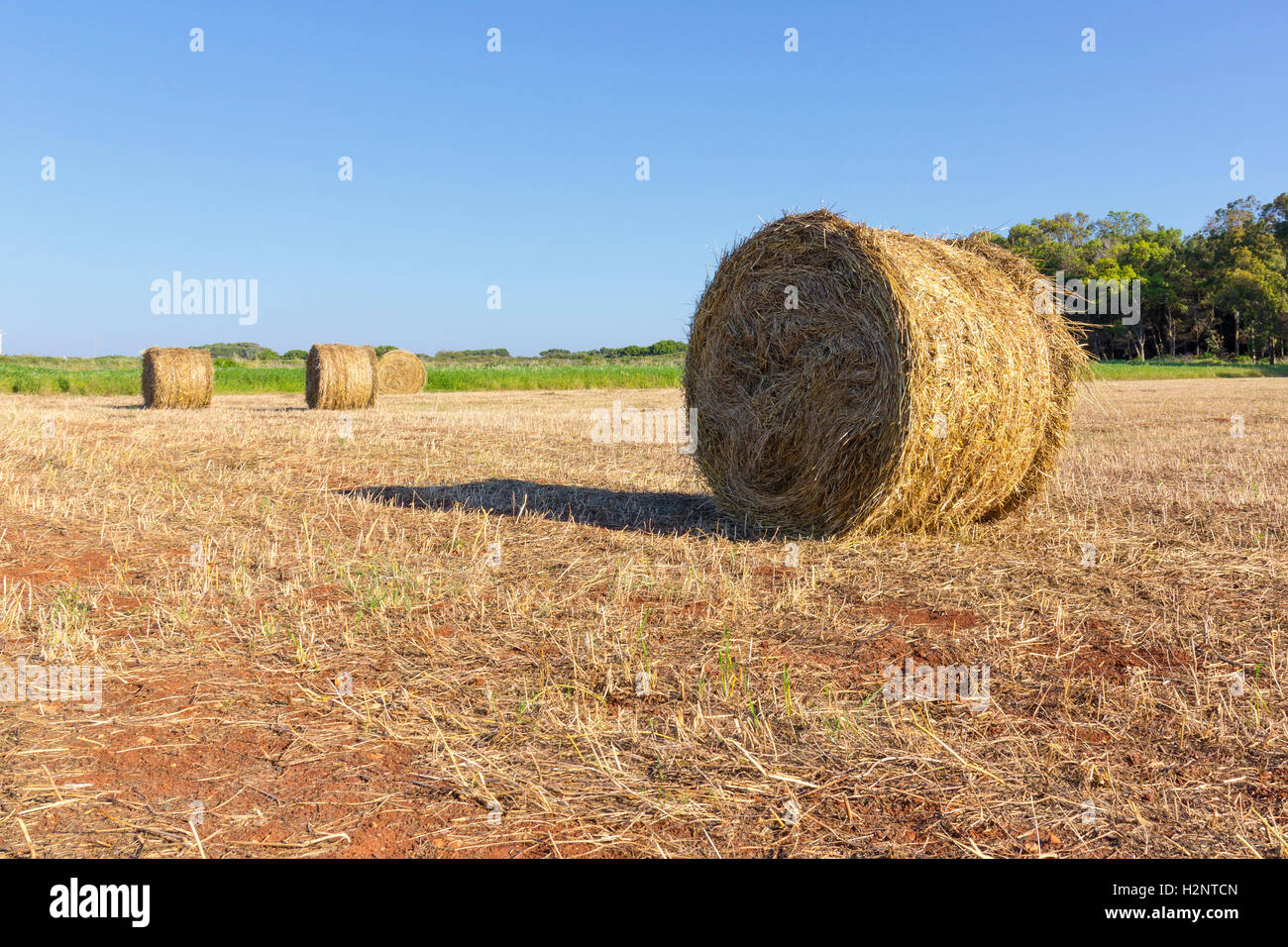 Hay bale field italy hi-res stock photography and images - Alamy