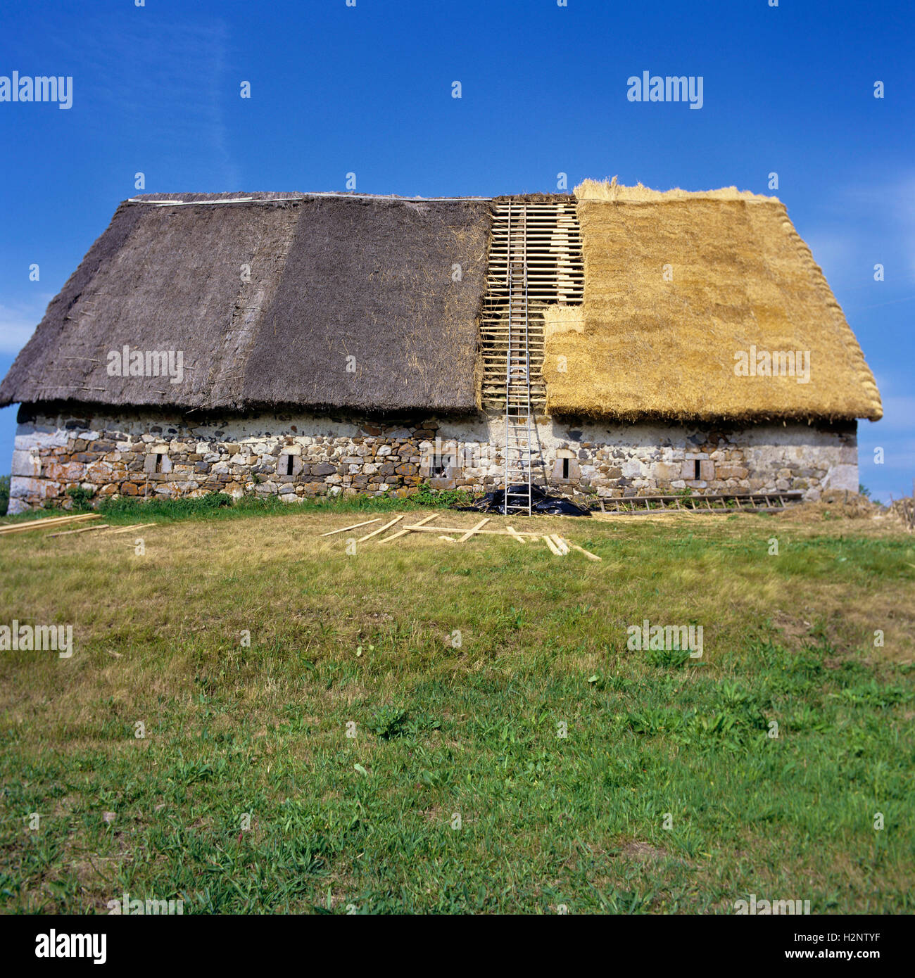 Restoration of a thatched roof Stock Photo Alamy