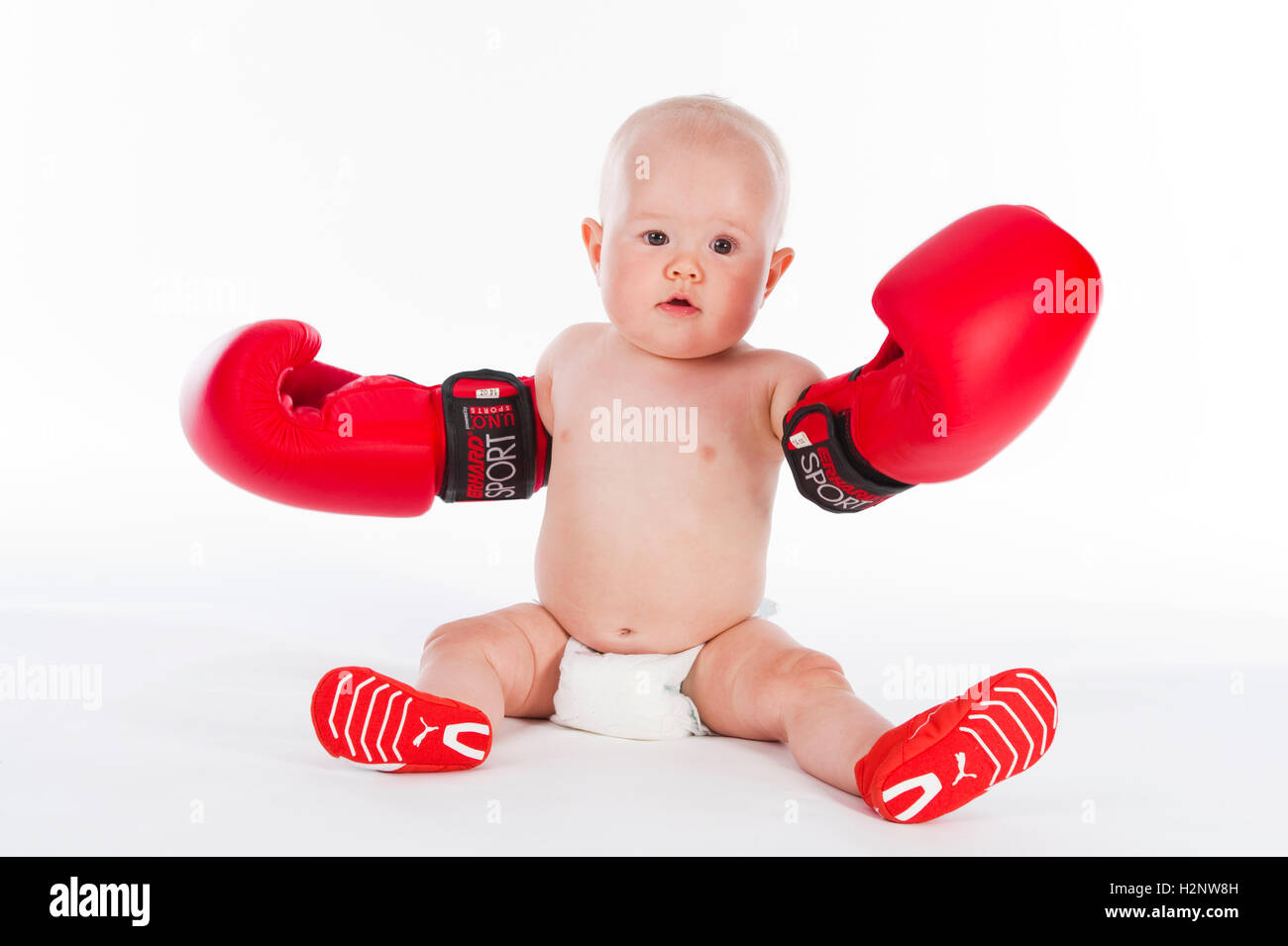 Baby, ten months, with boxing gloves Stock Photo