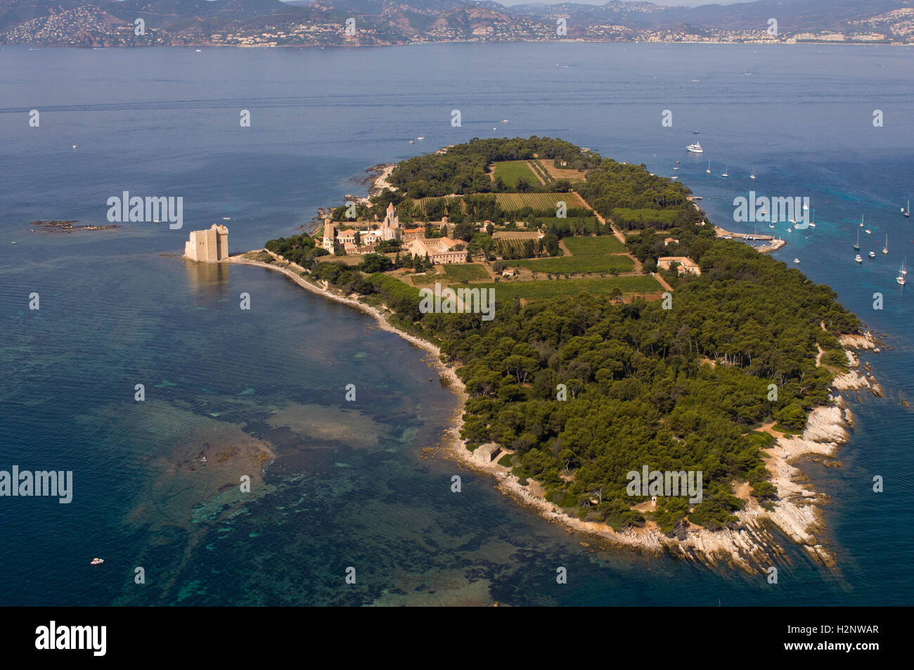 Aerial view, Ile SaintHonorat, Iles de Lerins, France, Cote d'Azur