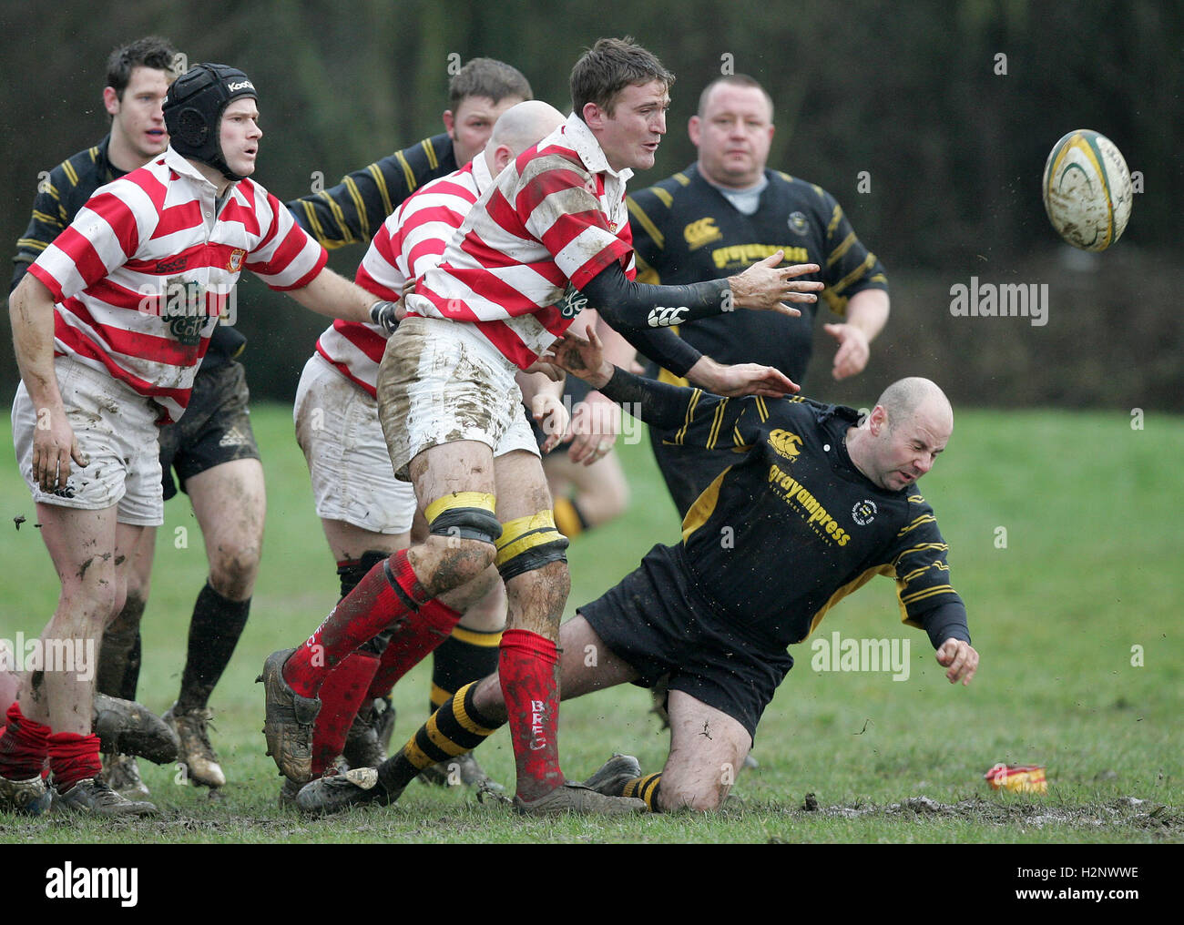 Billericay RFC vs Bideford RFC - EDF Energy Vase 6th Round - 10/02/07 ...