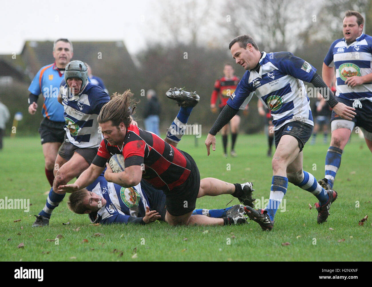 Action Sport Rugby League Try High Resolution Stock Photography and ...
