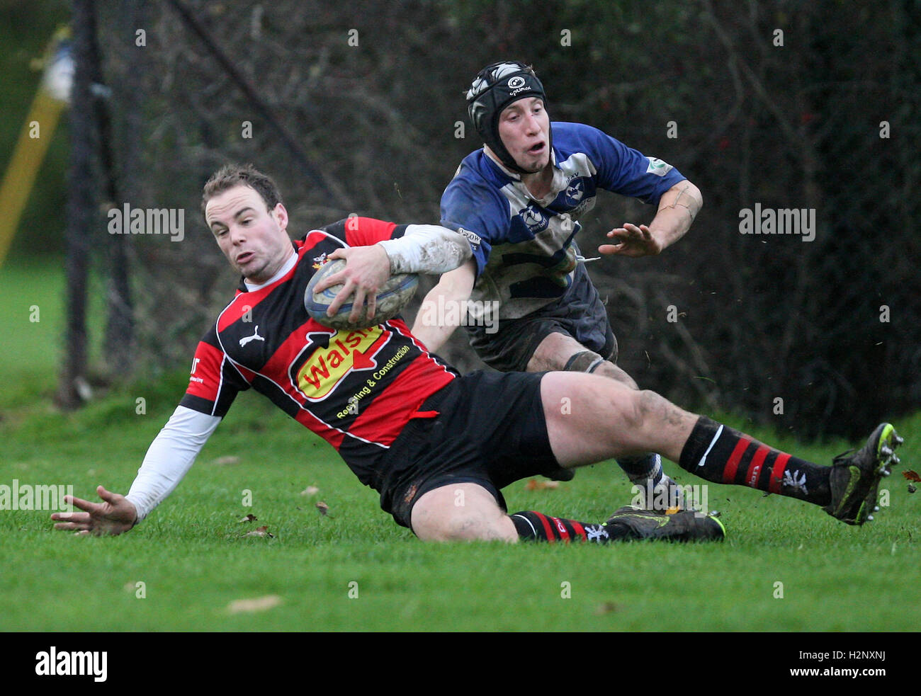 Action Sport Rugby League Try High Resolution Stock Photography and ...
