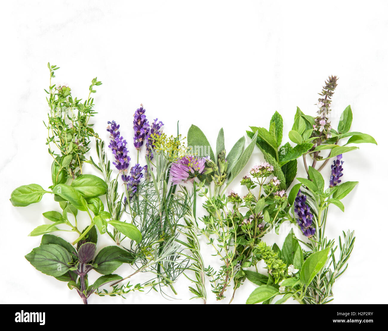 Fresh herbs on marble stone background. Basil, rosemary, sage, thyme, mint, dill, savory, lavender Food background Stock Photo